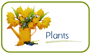 22SPCSMarchPlants